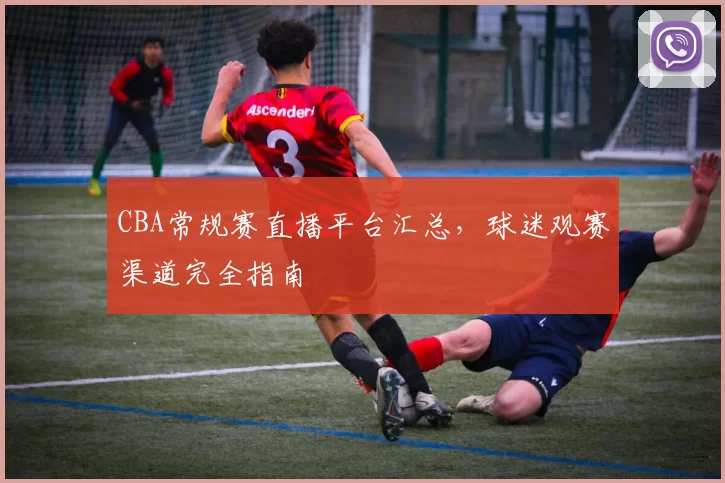 CBA常规赛直播平台汇总,球迷观赛渠道完全指南