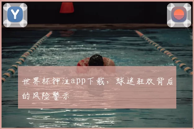 世界杯押注app下载，球迷狂欢背后的风险警示