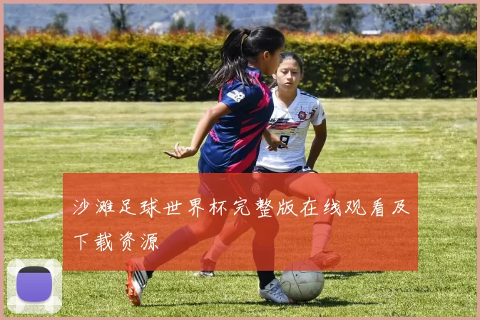 沙滩足球世界杯完整版在线观看及下载资源