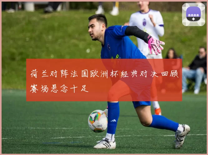 荷兰对阵法国欧洲杯经典对决回顾赛场悬念十足