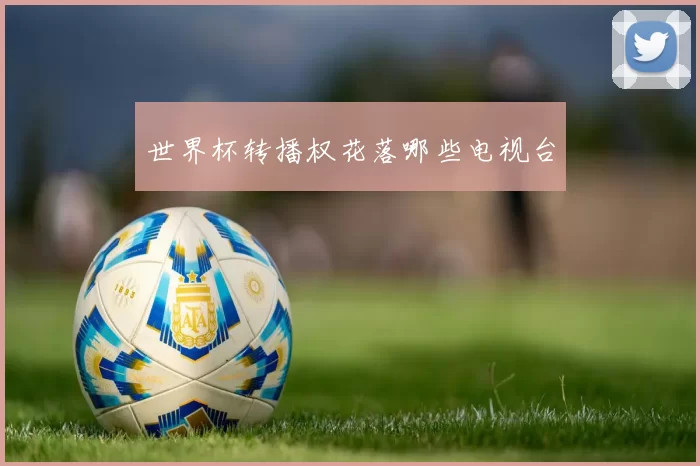 世界杯转播权花落哪些电视台