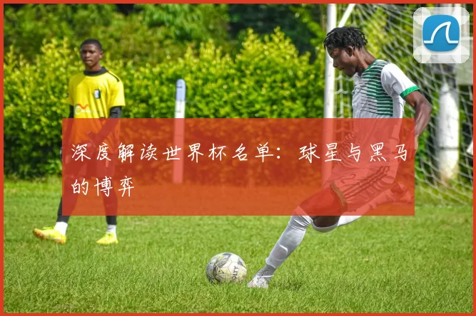 深度解读世界杯名单:球星与黑马的博弈