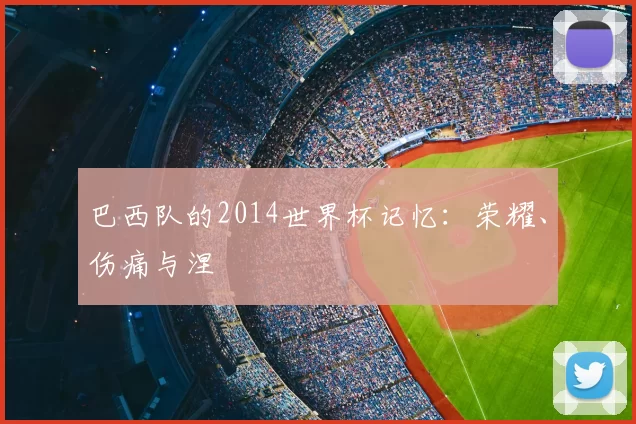 巴西队的2014世界杯记忆：荣耀、伤痛与涅槃
