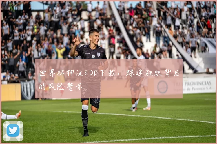 世界杯押注app下载，球迷狂欢背后的风险警示