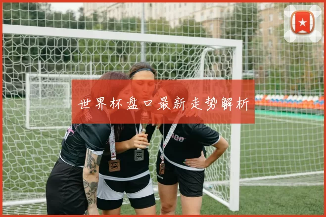 世界杯盘口最新走势解析