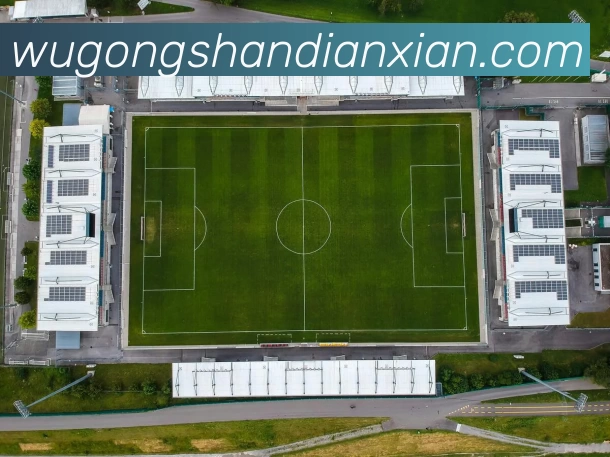 九游体育服务体系